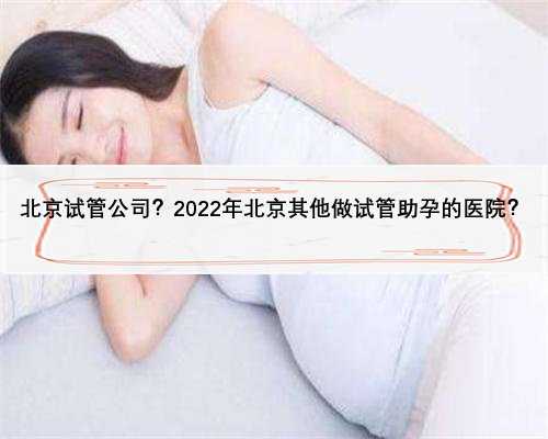 北京试管公司？2022年北京其他做试管助孕的医院？