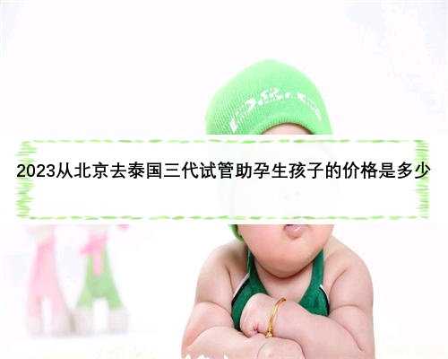 2023从北京去泰国三代试管助孕生孩子的价格是多少