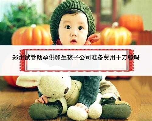 郑州试管助孕供卵生孩子公司准备费用十万够吗